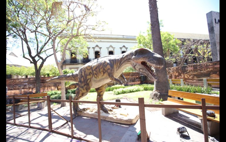 18 réplicas de especies como triceratops, tiranosaurio rex, y otras, llegaron a distintos puntos de la ciudad. ESPECIAL / Gobierno de Guadalajara