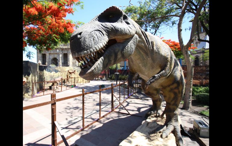 Día del Niño 2022: Esto es todo lo que tienes que saber del festival con  dinosaurios en Guadalajara | El Informador