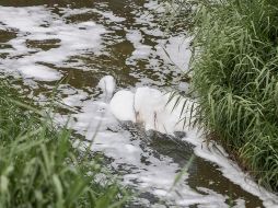 Se considera ecocidio si el daño abarca cuando menos diez hectáreas. EL INFORMAFOR/ARCHIVO