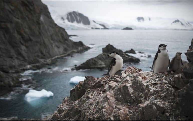 La organización benéfica dio a conocer que planea contratar a unas cinco personas para puestos como líderes de base, gerentes de tienda y asistentes generales. EFE / ARCHIVO