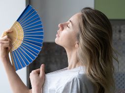 ISTOCK GETTY IMAGES/Dima Berlin