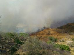 Informan que 20 elementos de Protección Civil y Bomberos de Guadalajara están trabajando en la zona afectada. TWITTER/@SemadetJal