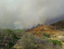 Informan que 20 elementos de Protección Civil y Bomberos de Guadalajara están trabajando en la zona afectada. TWITTER/@SemadetJal