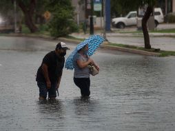 Temporada más prolífica de tormentas y ciclones tropicales, pero aseguran que esto también se debe al intenso calor. INFORMADOR/ARCHIVO