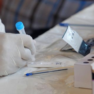 "Pirola", lo que sabemos sobre la variante del COVID altamente contagiosa