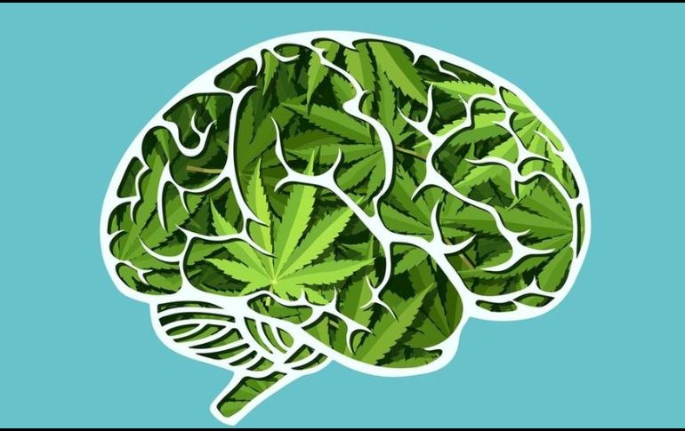 El cannabis tiene efectos en los procesos cognitivos. GETTY IMAGES
