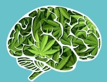 El cannabis tiene efectos en los procesos cognitivos. GETTY IMAGES