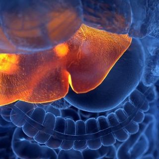 Detectan en Argentina el primer caso en América Latina de la hepatitis aguda de origen desconocido que ataca a los niños