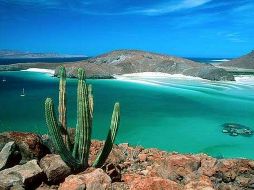 La Paz, Baja California. ESPECIAL/CORTESÍA BOOKING.COM.