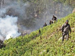 Edad para consumir mariguana atora regulación