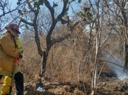 Brigadistas estatales y municipales trabajan en la zona. ESPECIAL/Ayuntamiento de Chapala