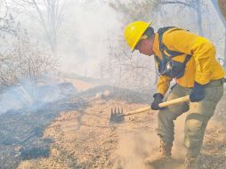 En el municipio zapopano el fuego se reporta cerca del Bosque Nixticuil. ESPECIAL