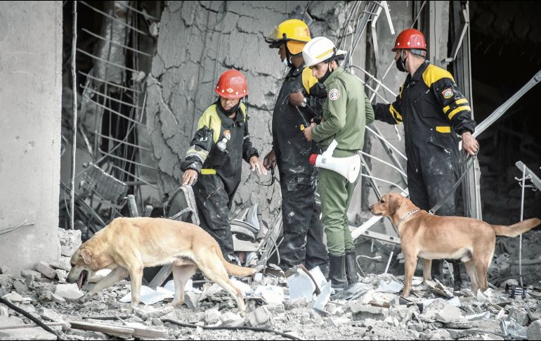 Binomios de rescate buscan entre los escombros señales de vida. AFP