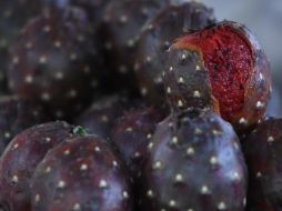 ¡No te lo pierdas! Promueven Feria de la Pitaya en Zapopan