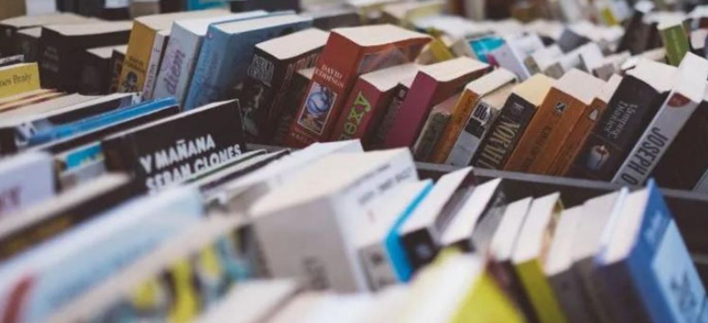 Estos 10 libros son protagonizados por una madre, muestran su trayecto por la maternidad como tema central. EL INFORMADOR/ Archivo