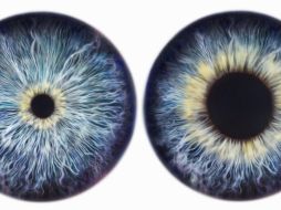 Las pupilas responden inmediatamente a la luz. GETTY IMAGES