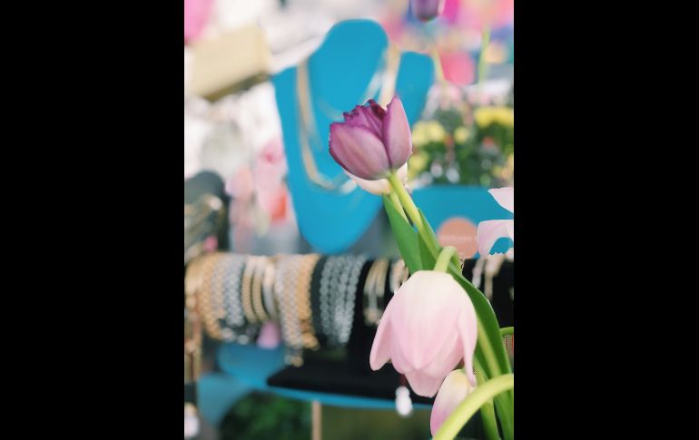 Renasci. GENTE BIEN JALISCO/ Maité Ruiz Velasco