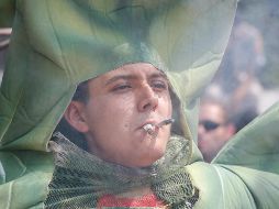 El criterio sobre la posesión simple de la mariguana no es obligatorio, pero puede ser retomado en futuros amparos. EL INFORMADOR/ARCHIVO