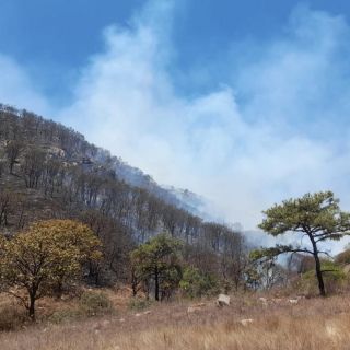 Incendios en ZMG: Confinan incendio forestal en el cerro El Taray