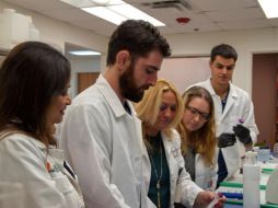 Esta prueba en orina constituye una forma no invasiva, segura y fácil para detectar anticuerpos contra el COVID. EFE/ARCHIVO