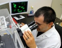 Se informó que las muestras, fueron enviadas por el Laboratorio Estatal de Salud Pública al Instituto de Diagnóstico y Referencia Epidemiológicos (INDRE) para su diagnóstico. EFE / ARCHIVO