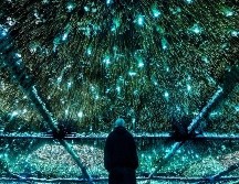 El Circuito de Arte de Akamba 2022 contará con el trabajo de diversos artistas, en su mayoría mexicanos. CORTESÍA/ Akamba