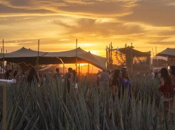 Akamba 2022 se llevará a cabo este 14 de mayo. CORTESÍA/ Akamba