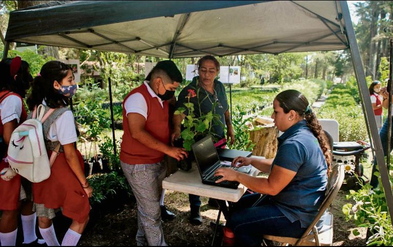 Reciben un árbol y el compromiso de cuidarlo. EL INFORMADOR/ G.Gallo