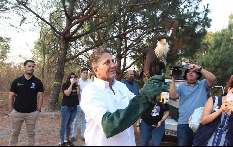 El alcalde zapopano, Juan José Frangie, participó en la reinsención de especies en el Bosque Pedagógico del Agua Colomos III. ESPECIAL/Gobierno de Zapopan