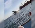 En el video, que ya se viralizó en redes sociales, se observa cómo el cetáceo cae estrepitosamente sobre el yate. ESPECIAL /