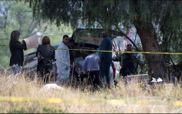 Del total de los 984 homicidios de mujeres, 102 fueron tipificados como feminicidios, apenas un 11 por ciento de los asesinatos. EFE / ARCHIVO