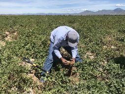 Destacan que utilizarán los recursos recaudados para financiar proyectos del sector agrícola, energía renovable, agua, prevención y control de la contaminación. EFE / ARCHIVO