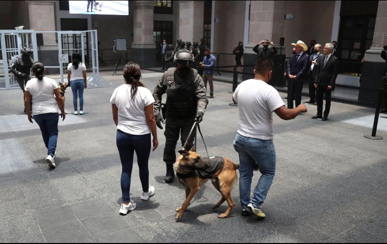 Los canes entrenados son capaces de detectar hasta teléfonos celulares, que son prohibidos en los penales. SUN/J. Alvarado