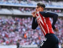 Durante la eliminatoria, 