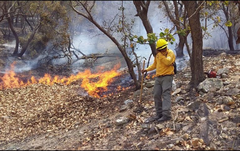 Desde el 14 de mayo se presenta el incendio forestal en Autlán de Navarro. ESPECIAL
