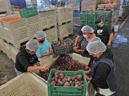 Esta es una de las 16 acciones que corresponden al Pacic. EL INFORMADOR/ Archivo