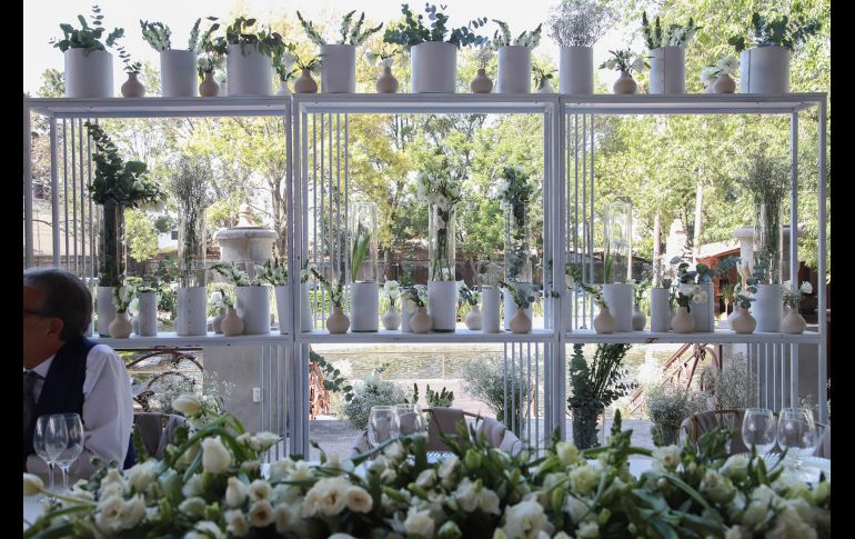 Aspecto. GENTE BIEN JALISCO/Antonio Martínez