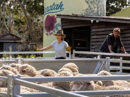 ”Un maridaje perfecto” es uno de los estrenos de Netflix de hoy. CORTESÍA / NETFLIX