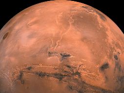 Los científicos pudieron confirmar, que el núcleo de Marte es líquido y determinar el grosor de la corteza marciana. EFE/ARCHIVO