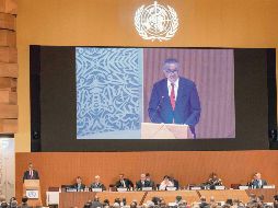 En el foro de la OMS se analiza cómo responder a nuevos problemas de salud pública en el mundo. AFP
