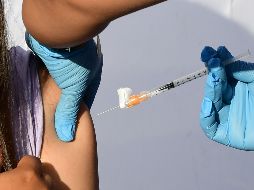 Los expertos recordaron que la vacuna contra la viruela convencional, una enfermedad de mayor gravedad y que durante siglos causó gran mortandad en el planeta, probó ser eficaz en un 85% contra la viruela del mono. AFP / J. Brown