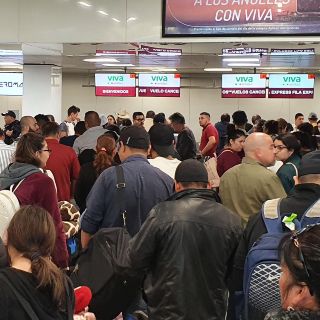 Tabasco: Pájaro choca contra un avión y provoca aterrizaje de emergencia en Villahermosa