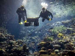 El componente químico encontrado en los corales blandos lo utilizan estos animales para defenderse de depredadores. EFE/ K. Van Weel