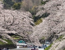 El ministro nipón de defensa Nobuo Kishi menciono que un avión de inteligencia ruso en Hokkaido, y calificó a esas maniobras de 