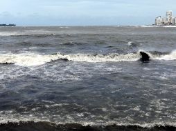 El naufragio en Veracruz dejó finalmente un saldo de siete migrantes hondureños fallecidos y cuatro sobrevivientes. NTX/ARCHIVO