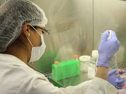 Fundación LCells lleva a cabo distintas campañas de donación para reunir fondos destinados al impulso de la investigación. NOTIMEX/Archivo