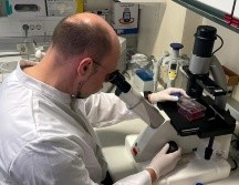 La Organización Mundial de la Salud afirma que se puede detener la transmisión. EL INFORMADOR/ Archivo