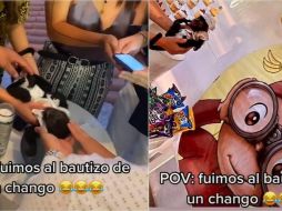 ESPECIAL/CAPTURA DE VIDEO