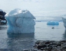 Científicos externan su preocupación por lo que harían estas bacterias de la Antártida si llegaran a esparcirse por el resto del mundo. EFE/CENTRO INVESTIGACIÓN IDEAL