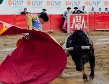 Samuel García vetó la reforma a la Ley de Patrimonio de Nuevo León que declara a la tauromaquia y a las peleas de gallos como patrimonio cultural. EL INFORMADOR/ ARCHIVO